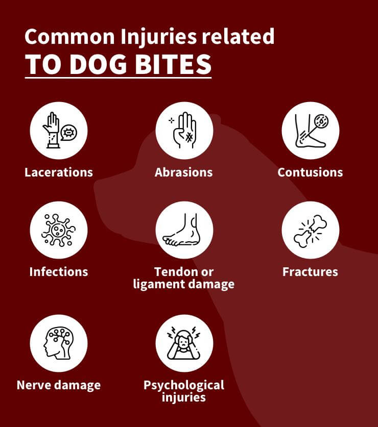 Common Injuries related to dog bites