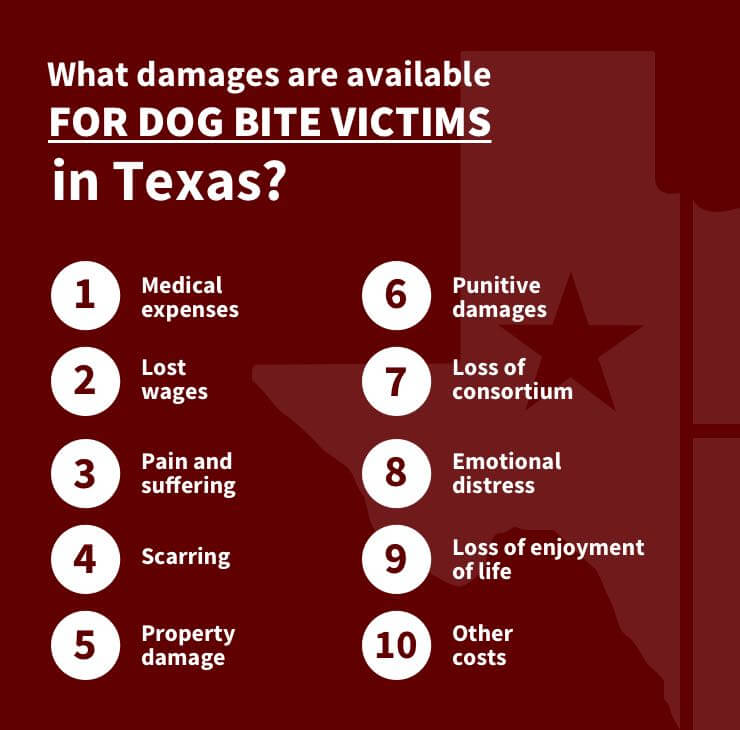 What Damages Are Available for Dog Bite Victims in Texas?