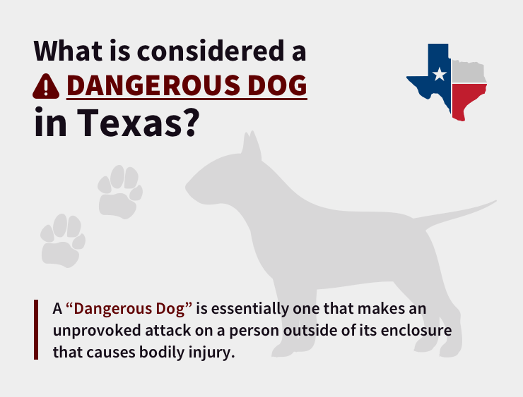 What is considered a dangerous dog in Texas?